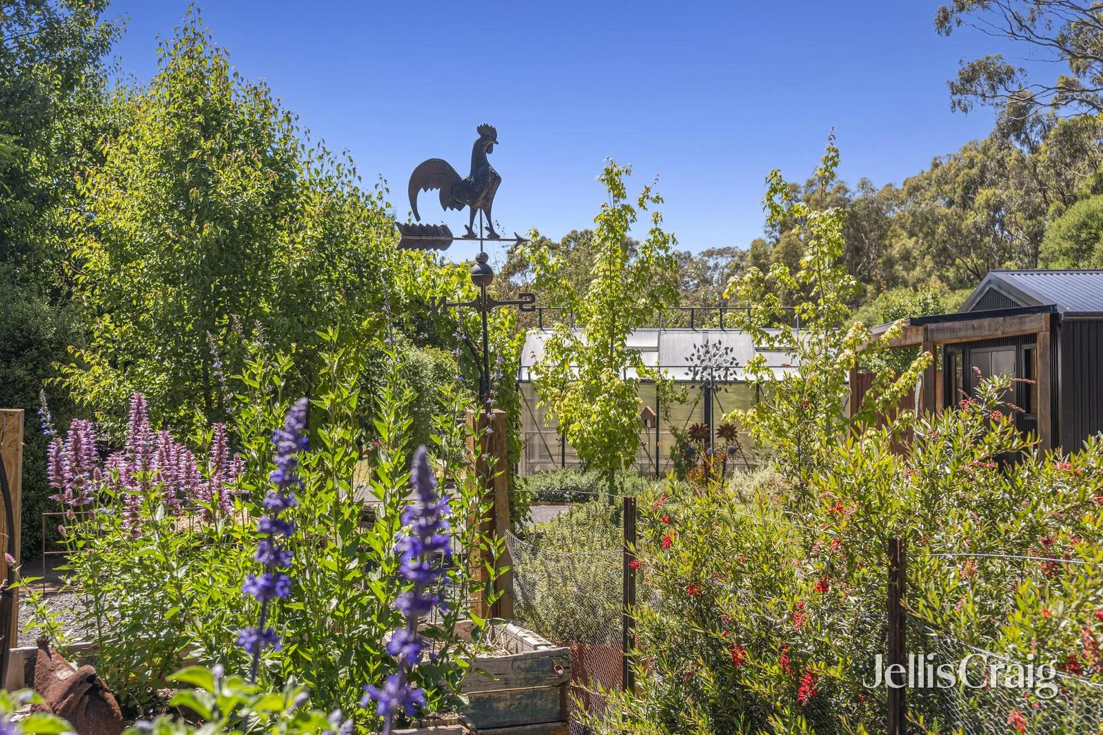 Additional image 17 of 99 Odgers Road, Barkers Creek VIC 3451