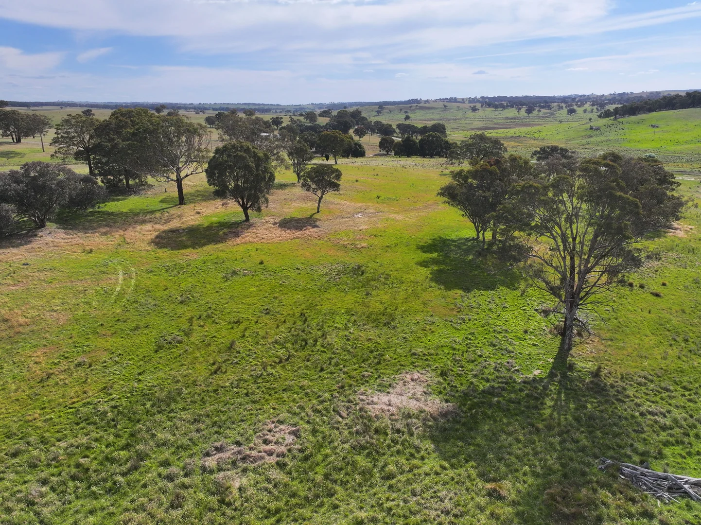 Additional image 5 of 680 Kangaloolah Road, Binda NSW 2583
