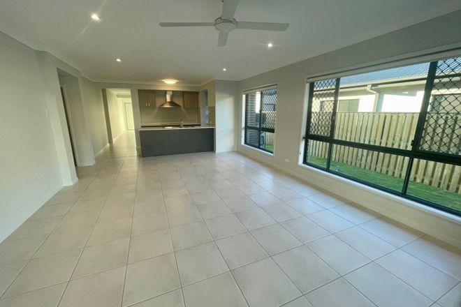 Picture of 17 Shell Street, NERANG QLD 4211