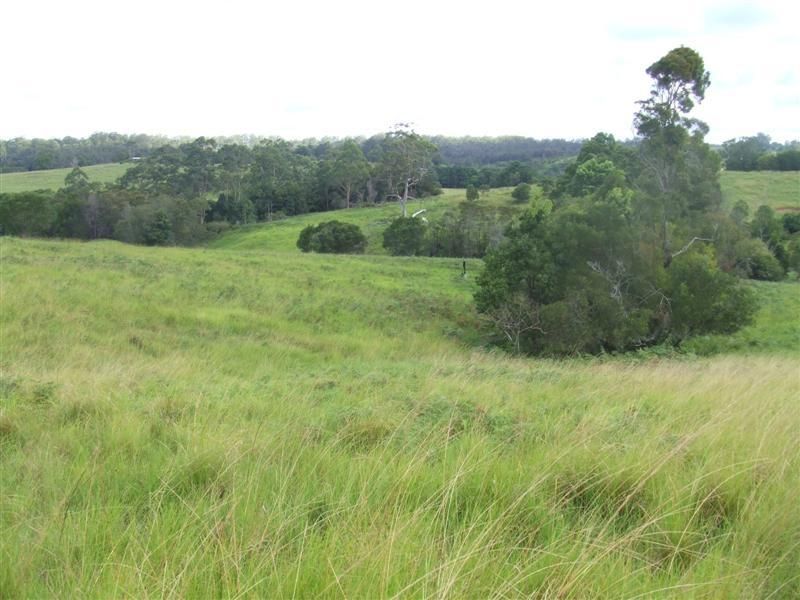 EUNGAI CREEK NSW 2441, Image 2