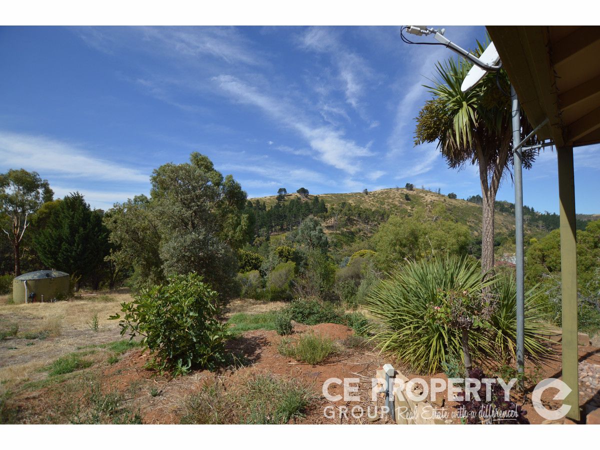 38 Hollands Creek Road, Cudlee Creek SA 5232, Image 1