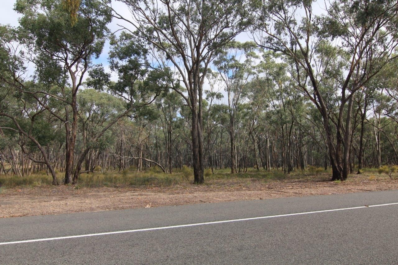 Lot 3 Caleana Road, Junortoun VIC 3551, Image 1