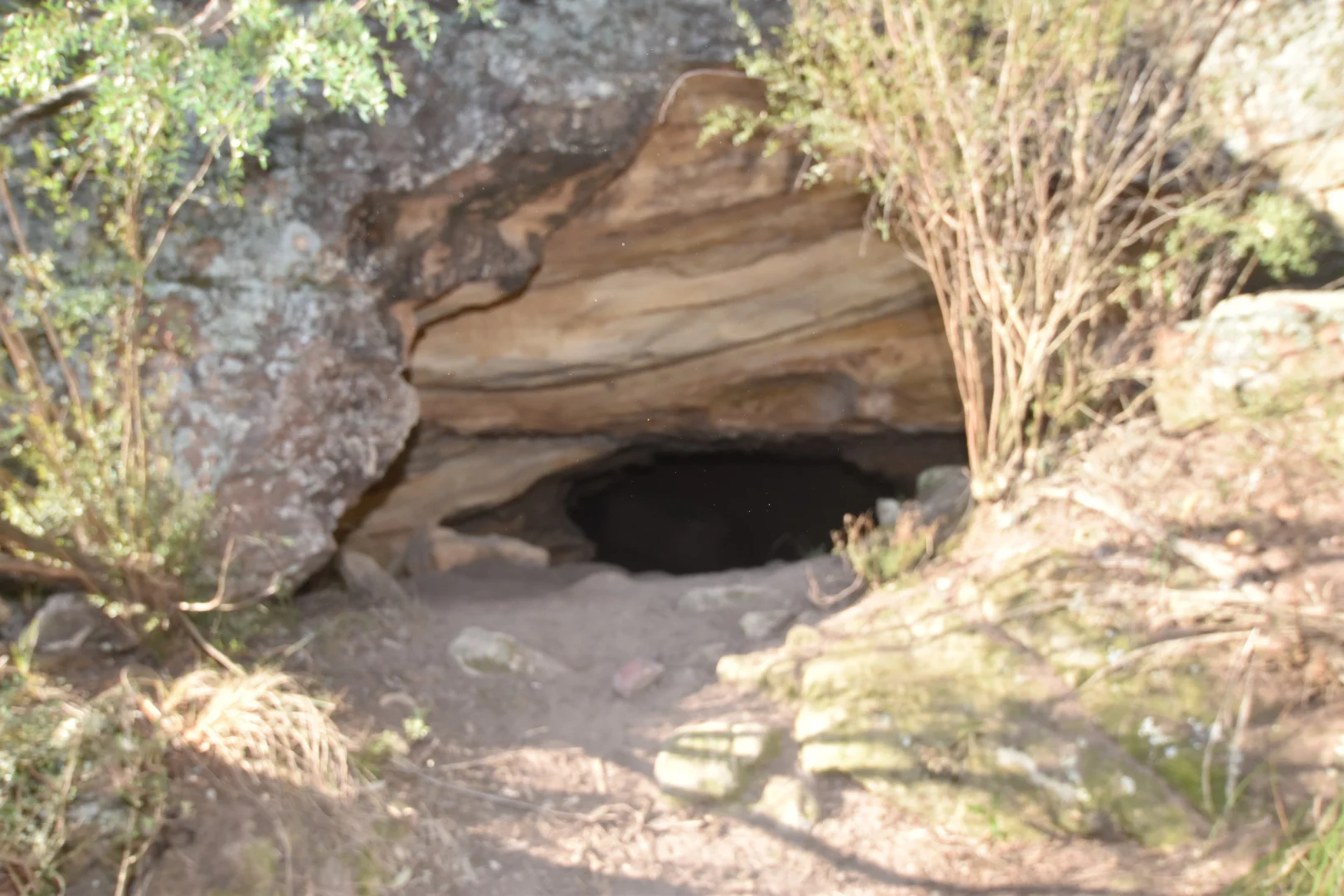 Image 32