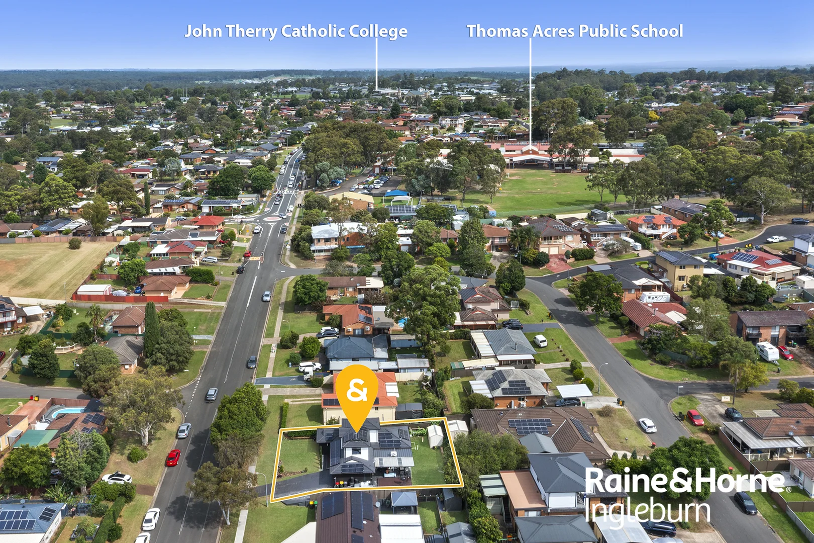 Image 12