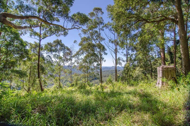 Lot 1  Middle Ridge Road, Upper Main Arm NSW 2482, Image 1