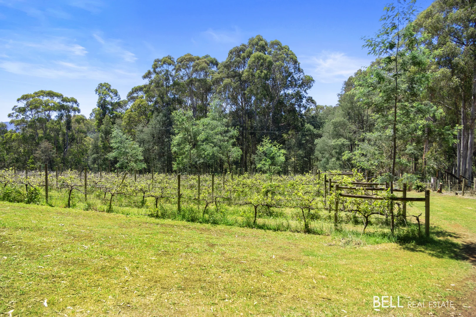 Additional image 22 of 795 Gembrook-Launching Place Road, Hoddles Creek VIC 3139
