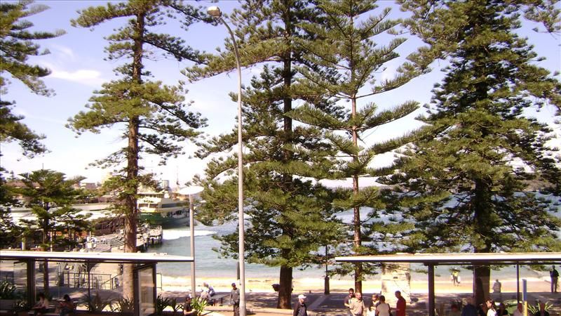 119/54 West Esplanade, Manly NSW 2095, Image 1