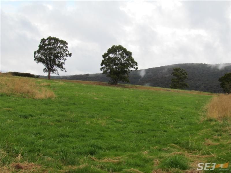 Lot 1, 1600 Mt Baw Baw Tourist Rd (Near Noojee), ICY CREEK VIC 3833, Image 1