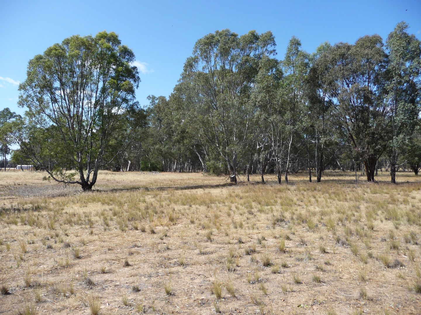 308 Marsdale Road, Wal Wal VIC 3385, Image 1