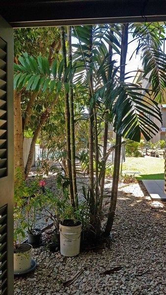 Block 22 40 Clifton Road, Clifton Beach QLD 4879, Image 1