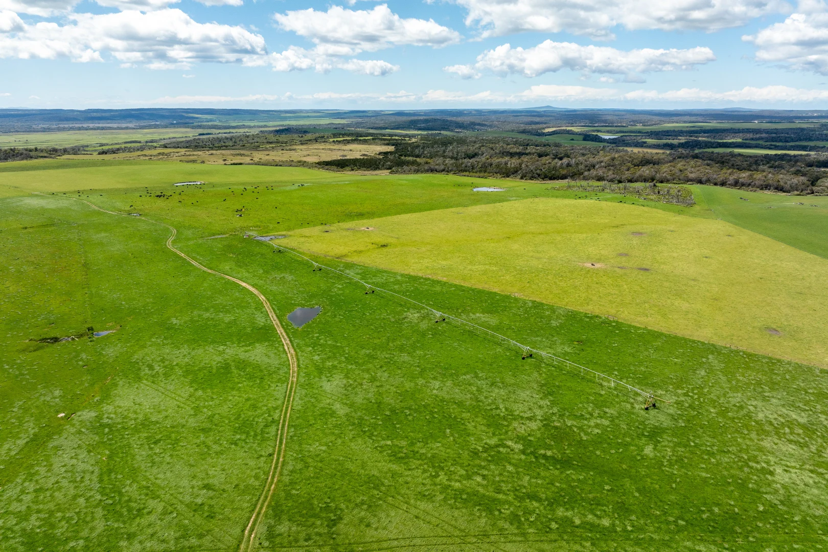Additional image 6 of . Waterhouse Road, Boobyalla TAS 7264
