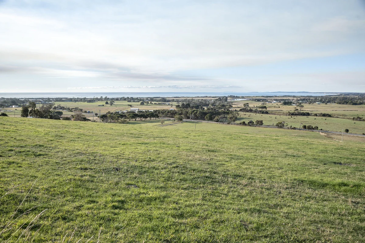 Image 17