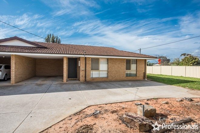 Picture of 3/11 Critch Place, WONTHELLA WA 6530