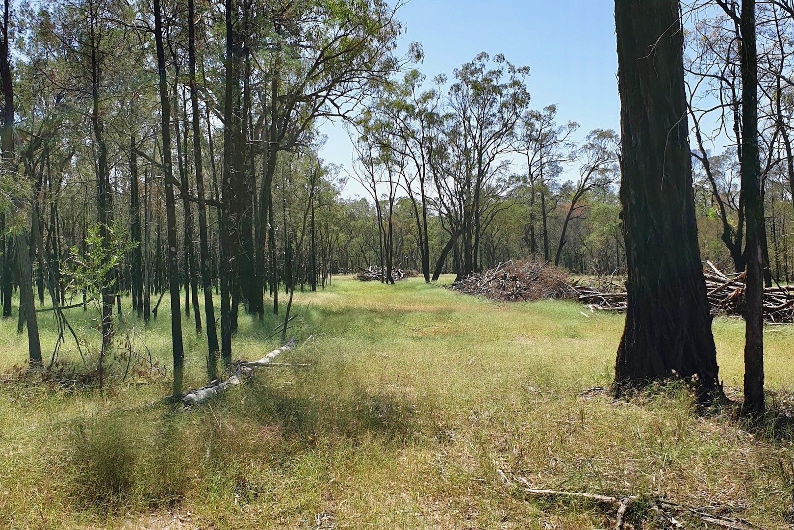 311 Fortune Drive, Tara QLD 4421 House for Sale Domain