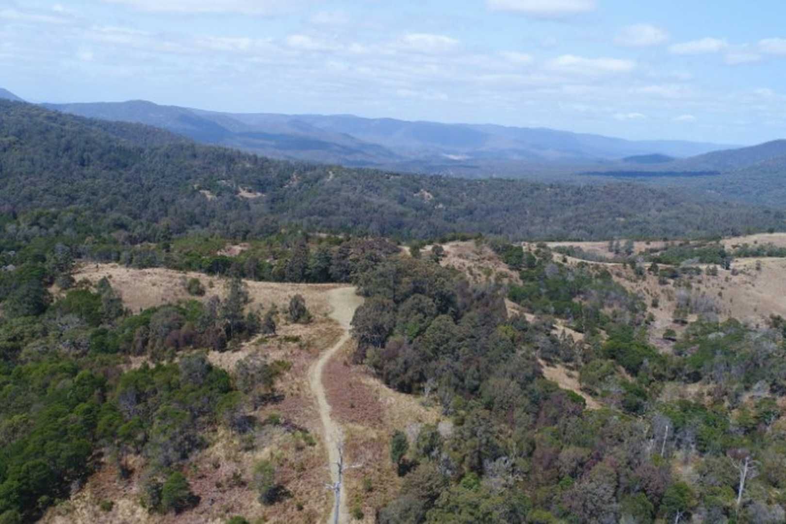  MACLEODS CREEK STATION, Drake NSW 2469 House for Sale 2.2