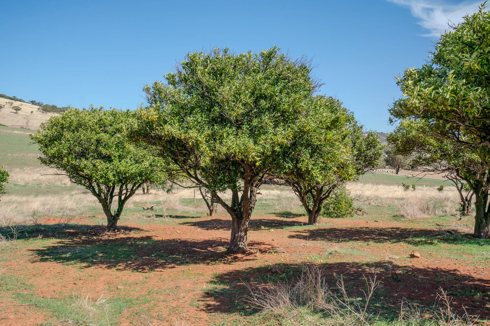 Additional image 10 of 24/543 Folewood Road, Toodyay WA 6566