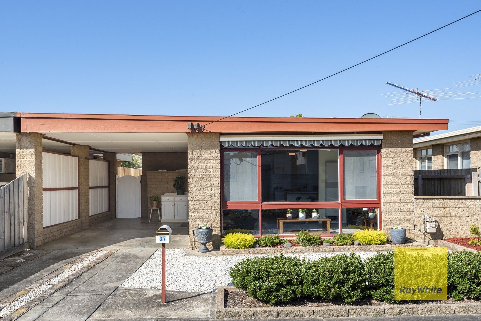 37 Queen Street, Belmont VIC 3216, Image 0