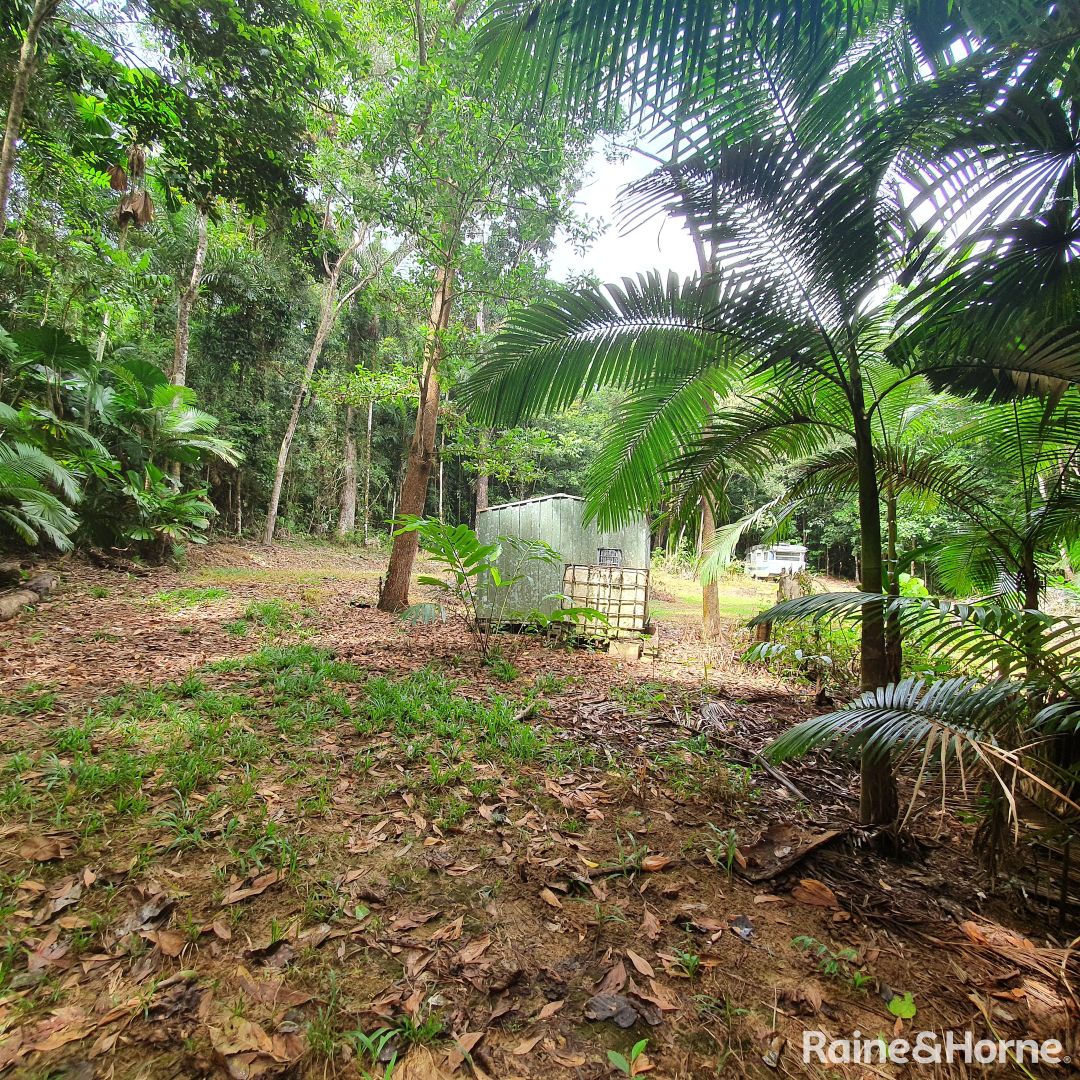 55 Cape Tribulation Road, DIWAN, Daintree QLD 4873 Domain