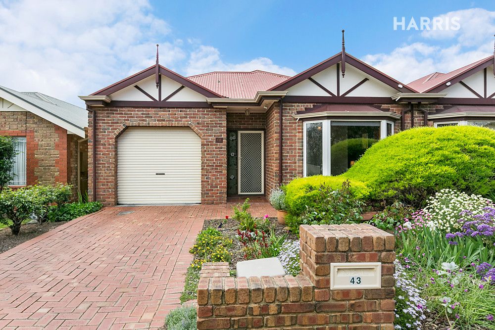 43 Hallett Avenue, Tranmere SA 5073, Image 0