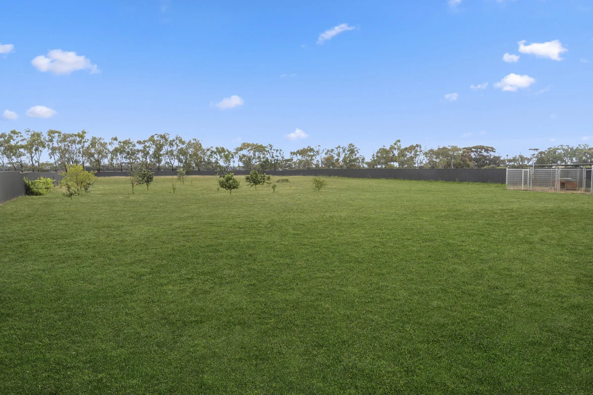 Image 31