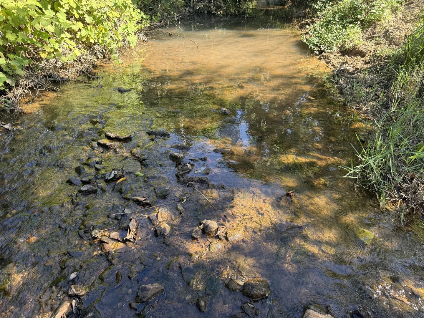 Image 14