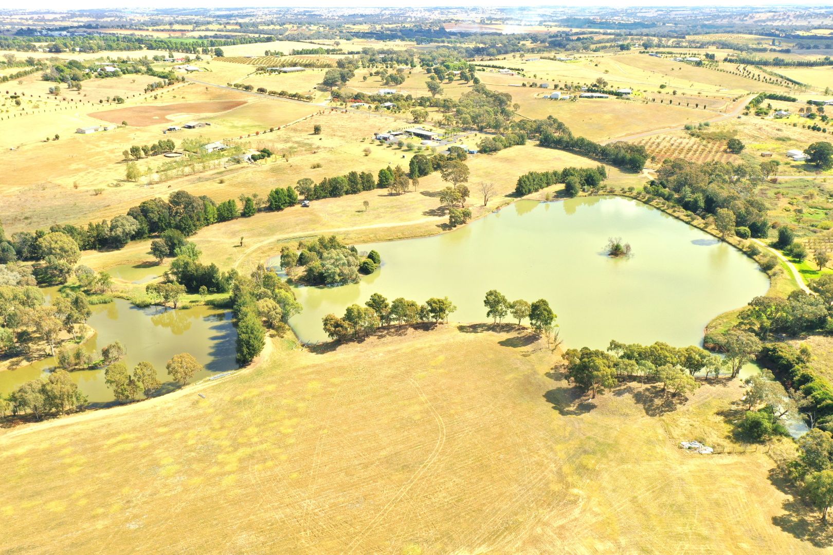 122 Old Monteagle Road, Young NSW 2594