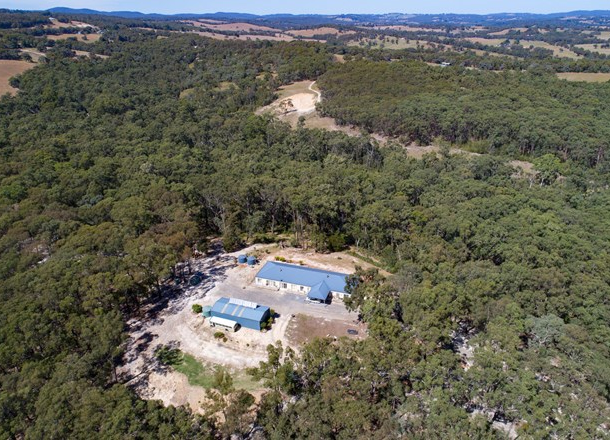 295 Sheepstation Creek Road, Yellingbo VIC 3139