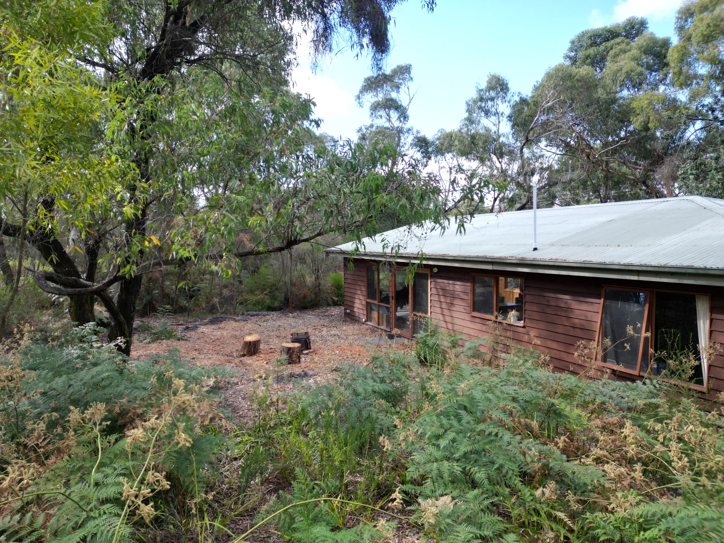 Image 12