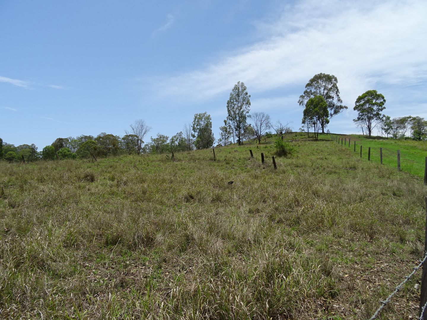 Lot 21 Carneys Creek Road, Carneys Creek QLD 4310, Image 2