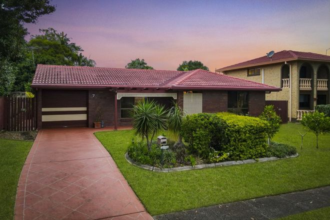 Picture of 7 Collingrove Street, EIGHT MILE PLAINS QLD 4113