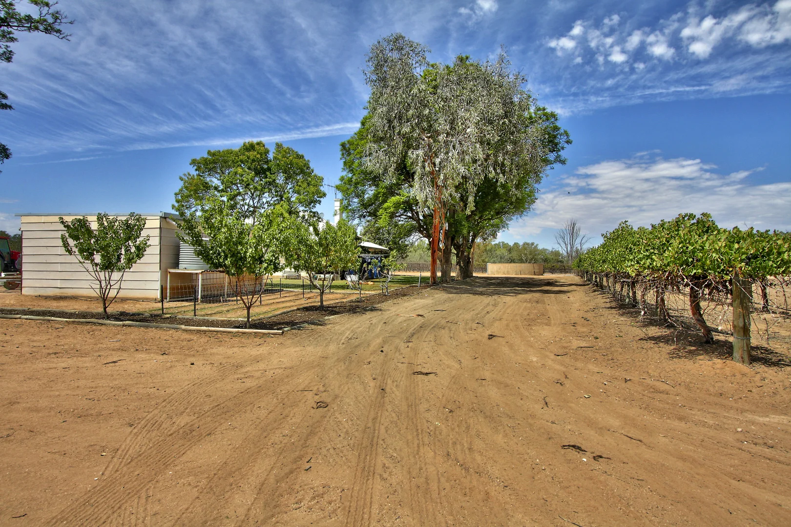 Image 11