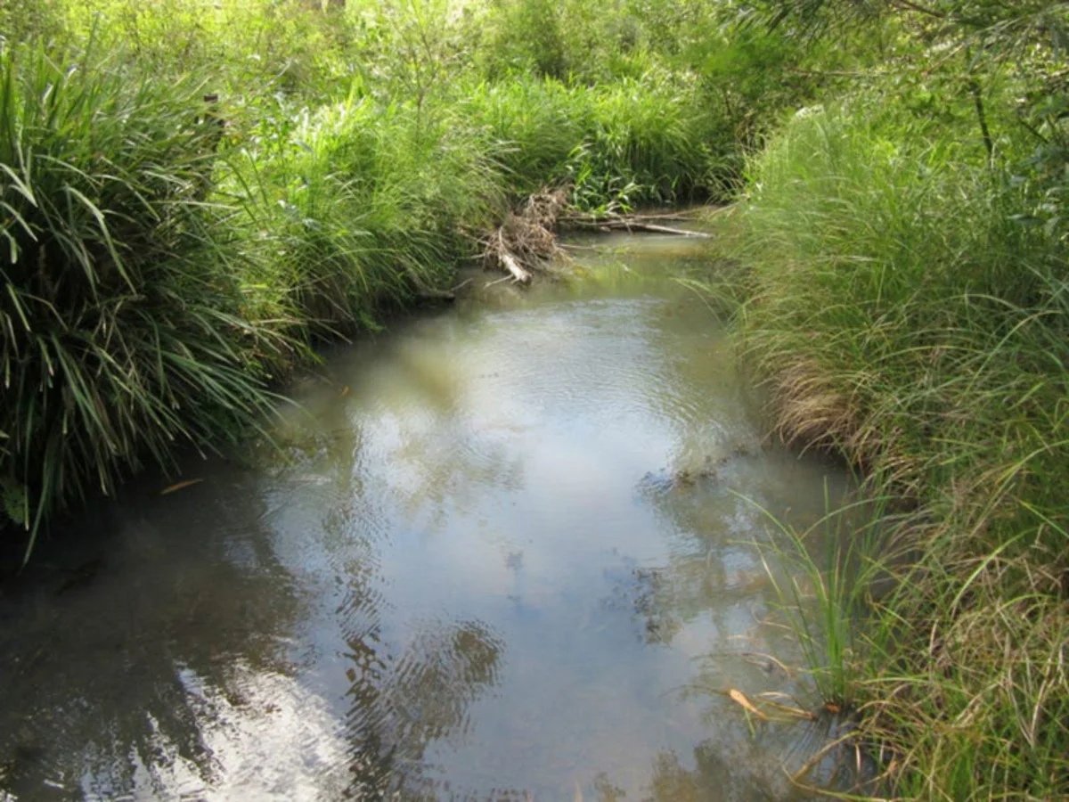 Image 22