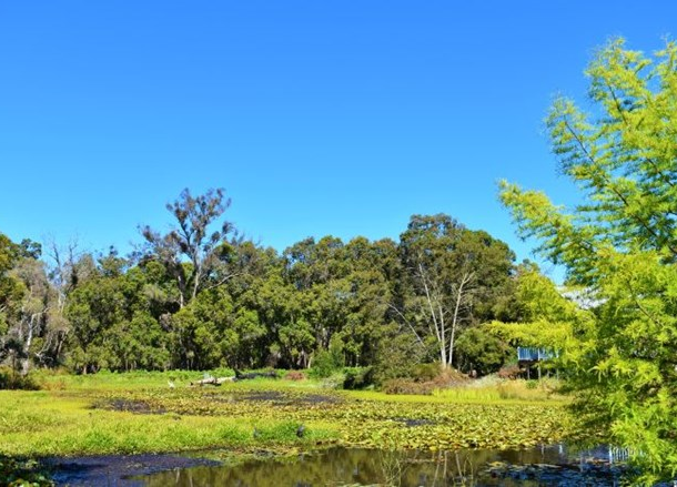 2 North Street, Nannup WA 6275