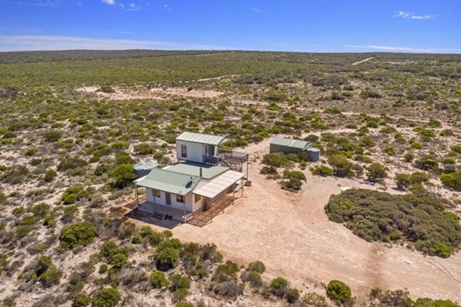 Picture of 1962 Fowlers Bay Road, FOWLERS BAY SA 5690