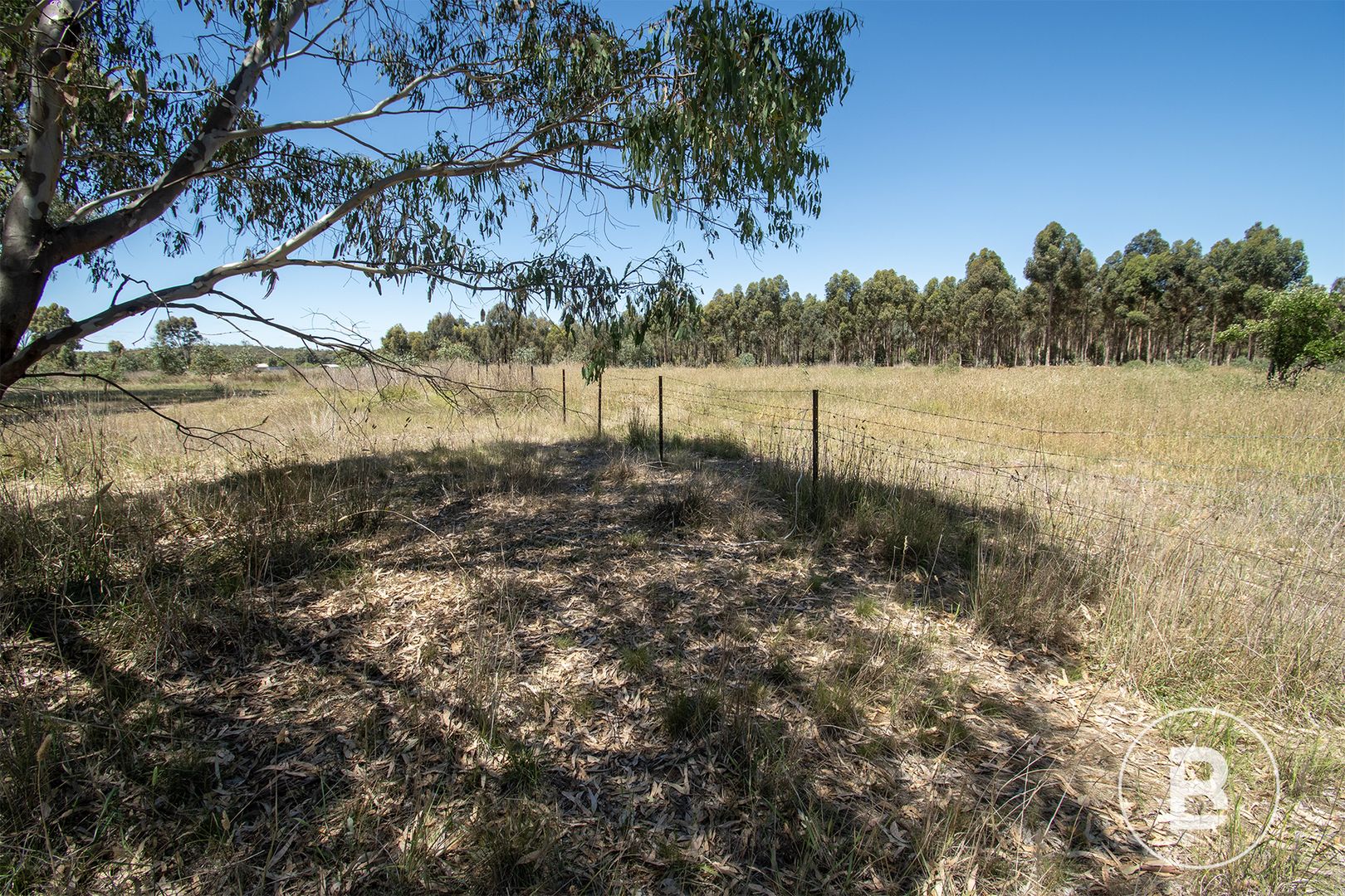 29 Steele Street, Dunolly VIC 3472, Image 2