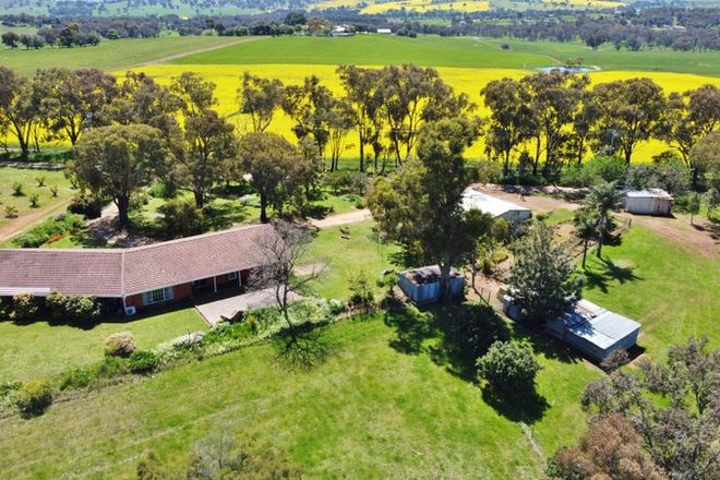 Picture of 26 Reynolds Lane, YOUNG NSW 2594