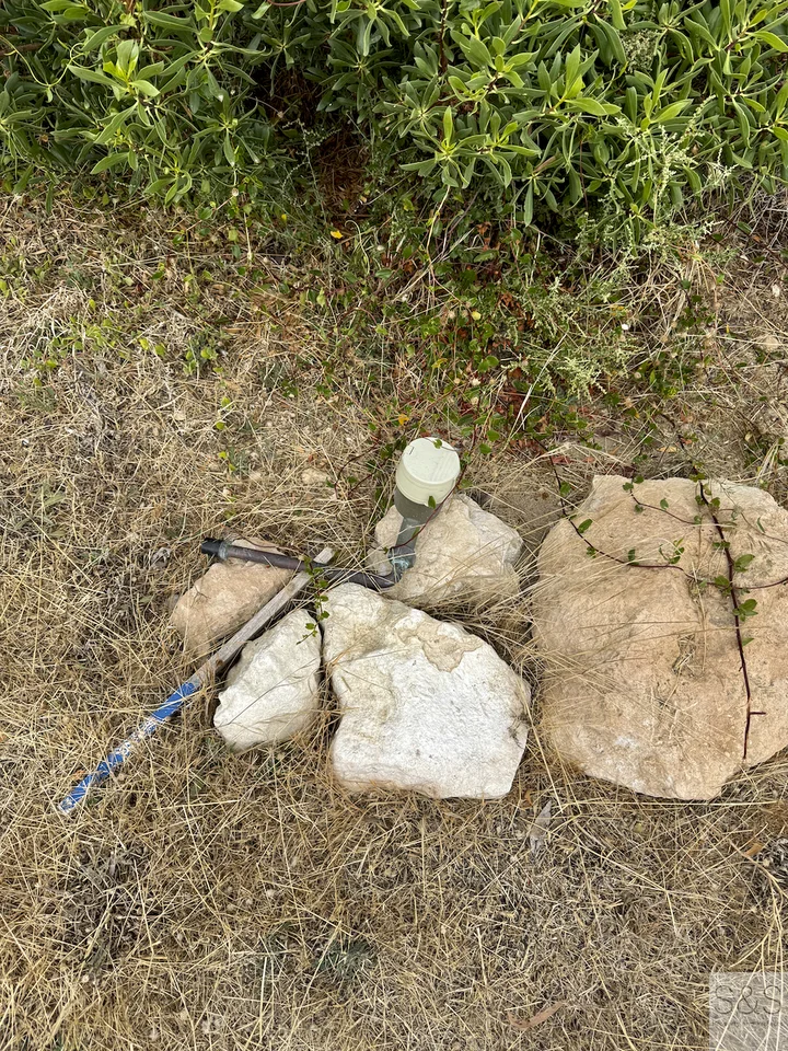 Image 10