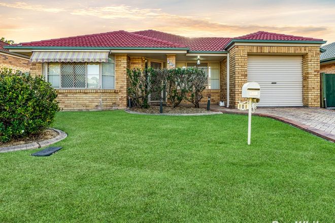 Picture of 101 Wimbledon Circuit, CARSELDINE QLD 4034