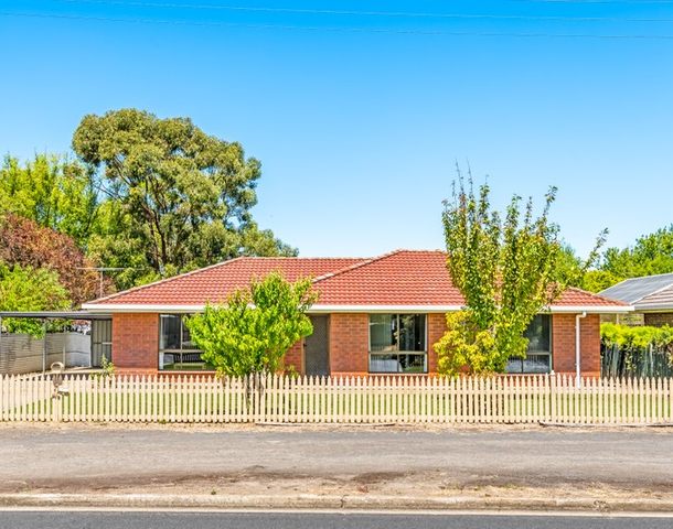 41 Plunkett Terrace, Millicent SA 5280