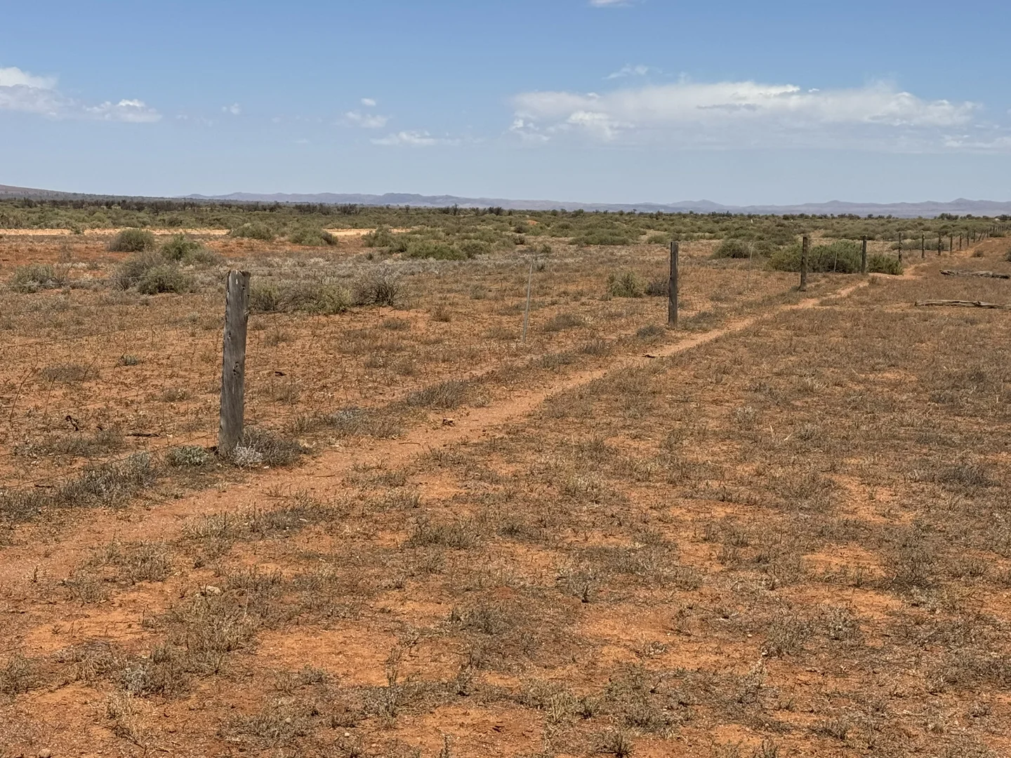 Image 15