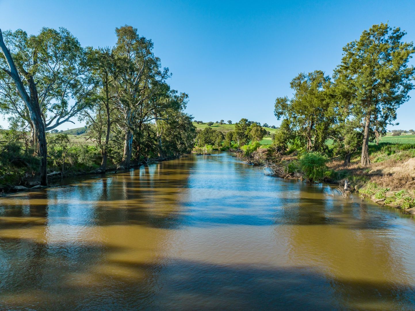 1 Cudgelo Lane, Cowra NSW 2794, Image 1