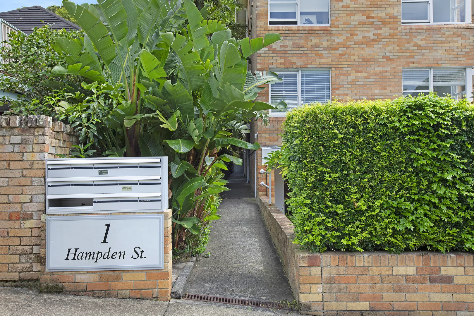 Image 7