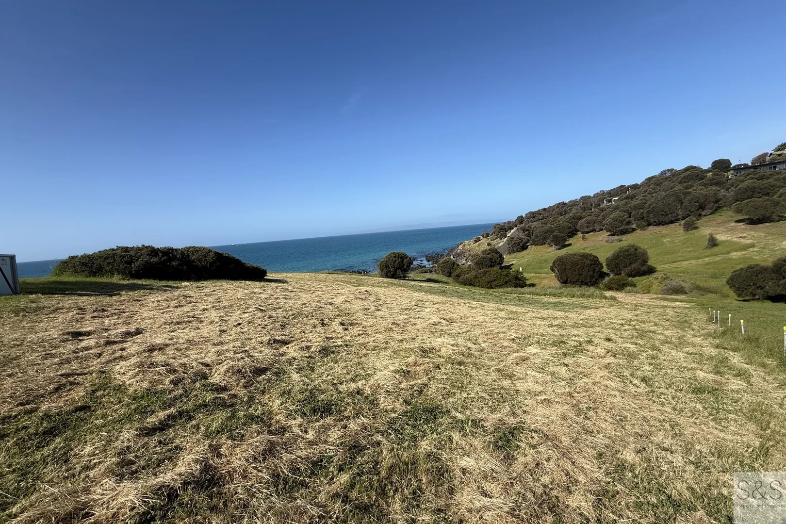 Image 12