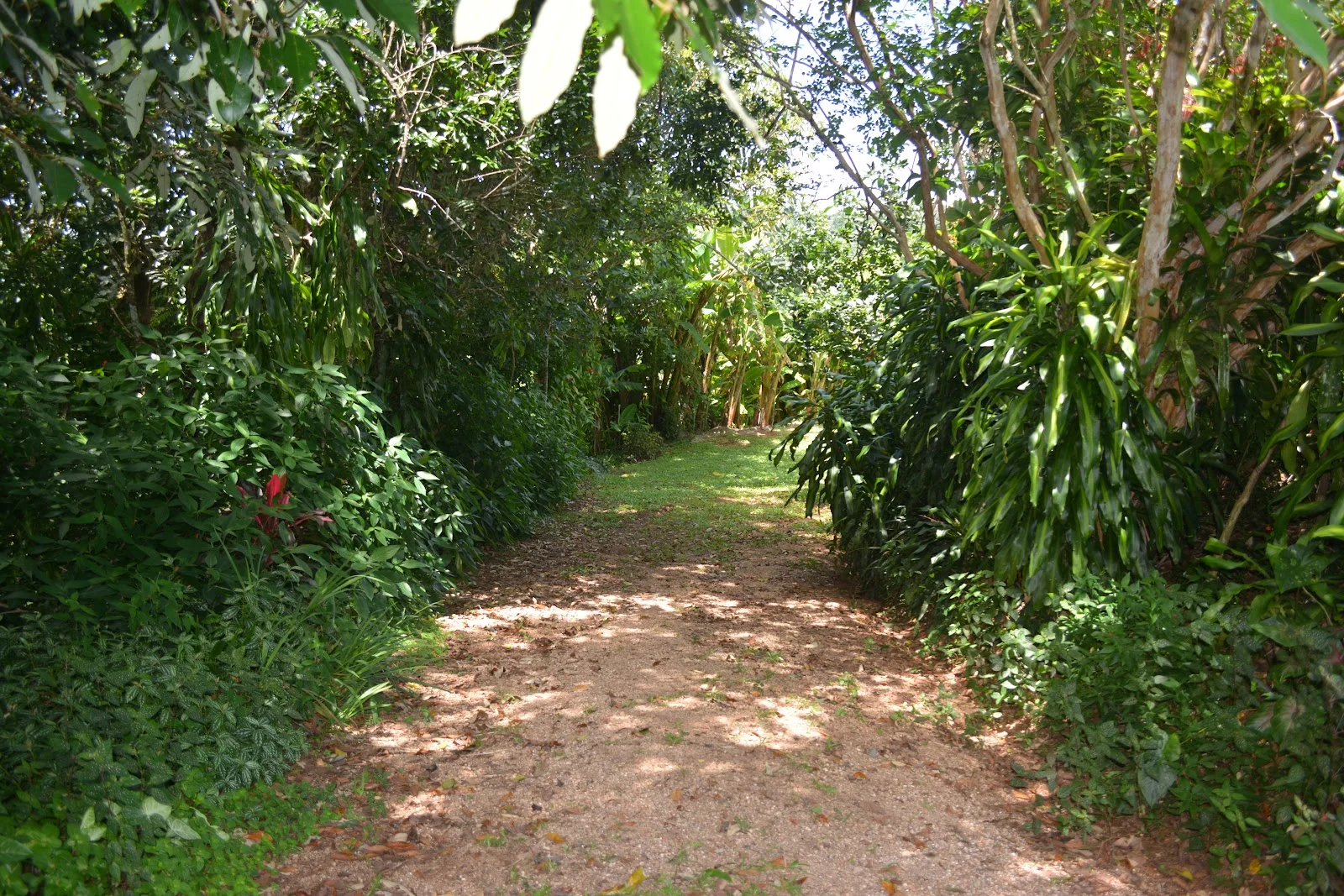 Image 50