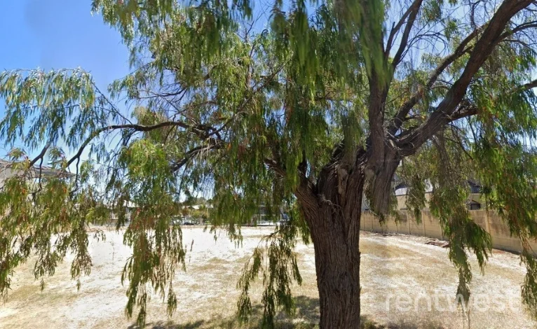 Image 9