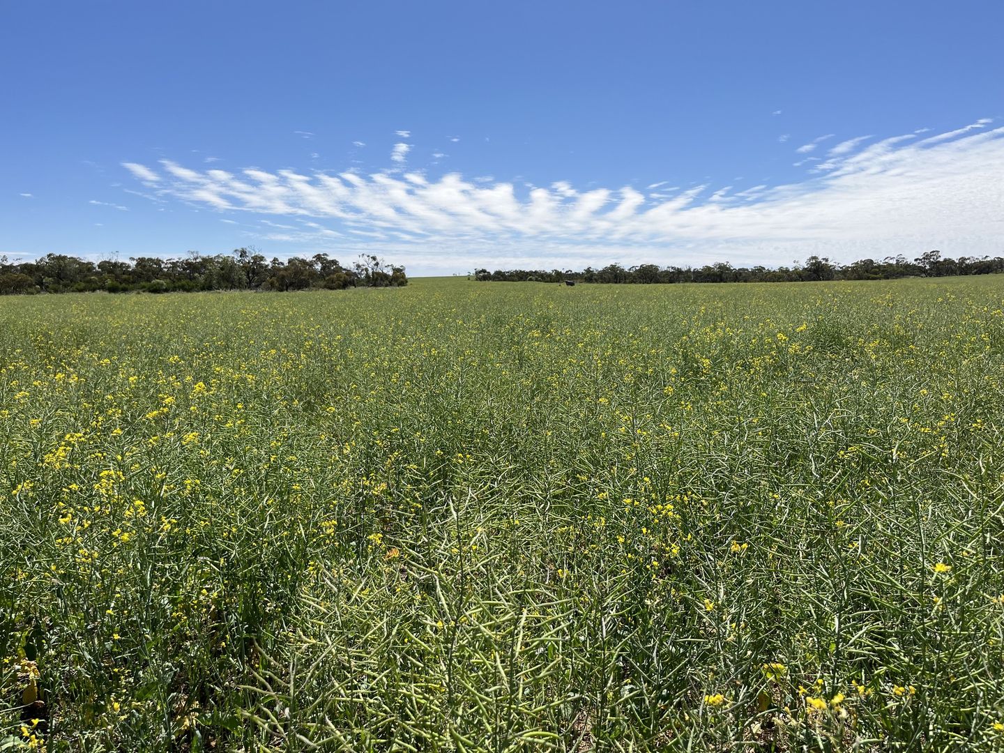 315 Eradu Road, Eradu South WA 6532, Image 2