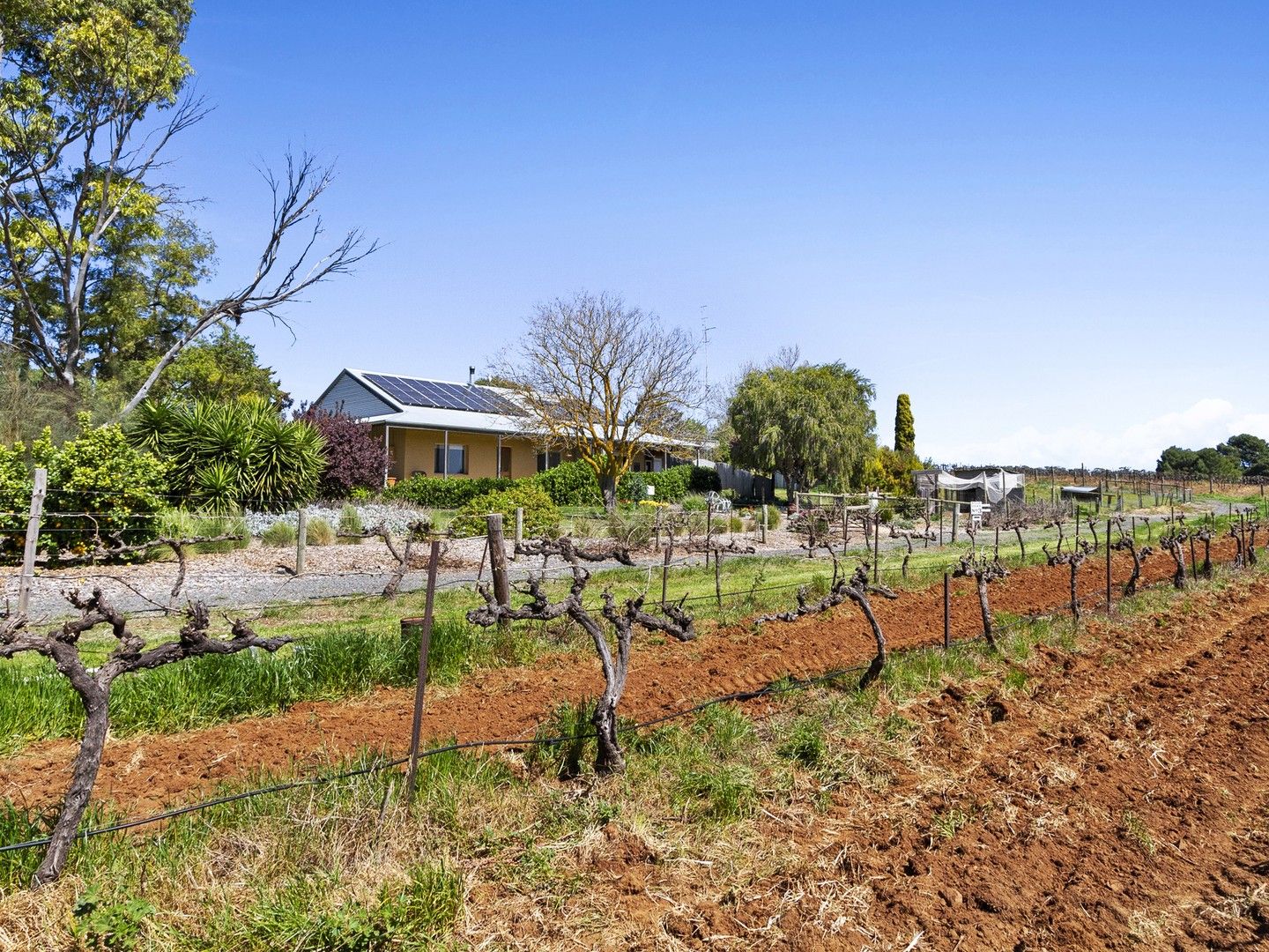 289 Blocks Road, Leasingham SA 5452, Image 0