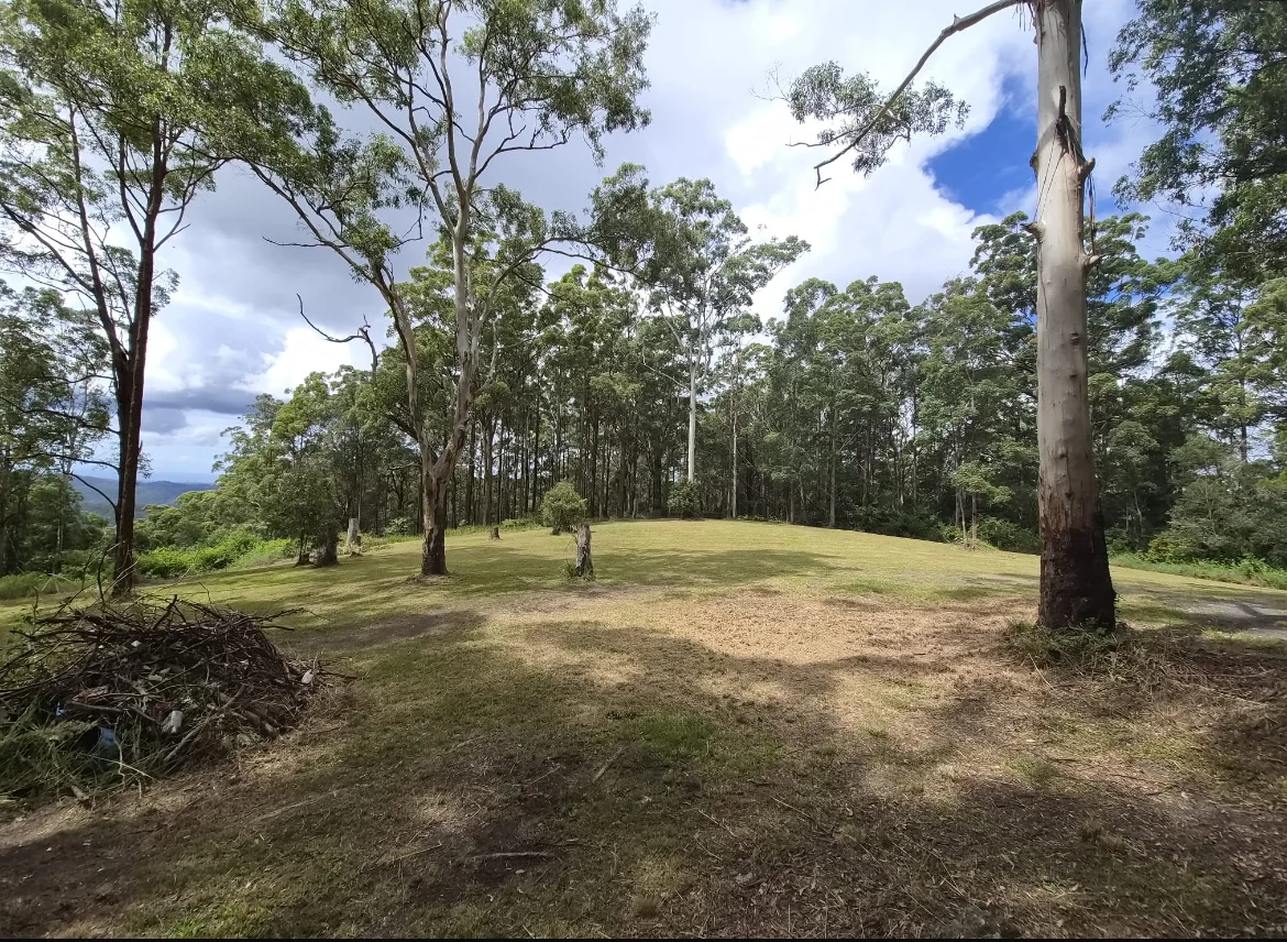 Additional image 4 of 1806 Gold Coast Springbrook Road, Springbrook QLD 4213
