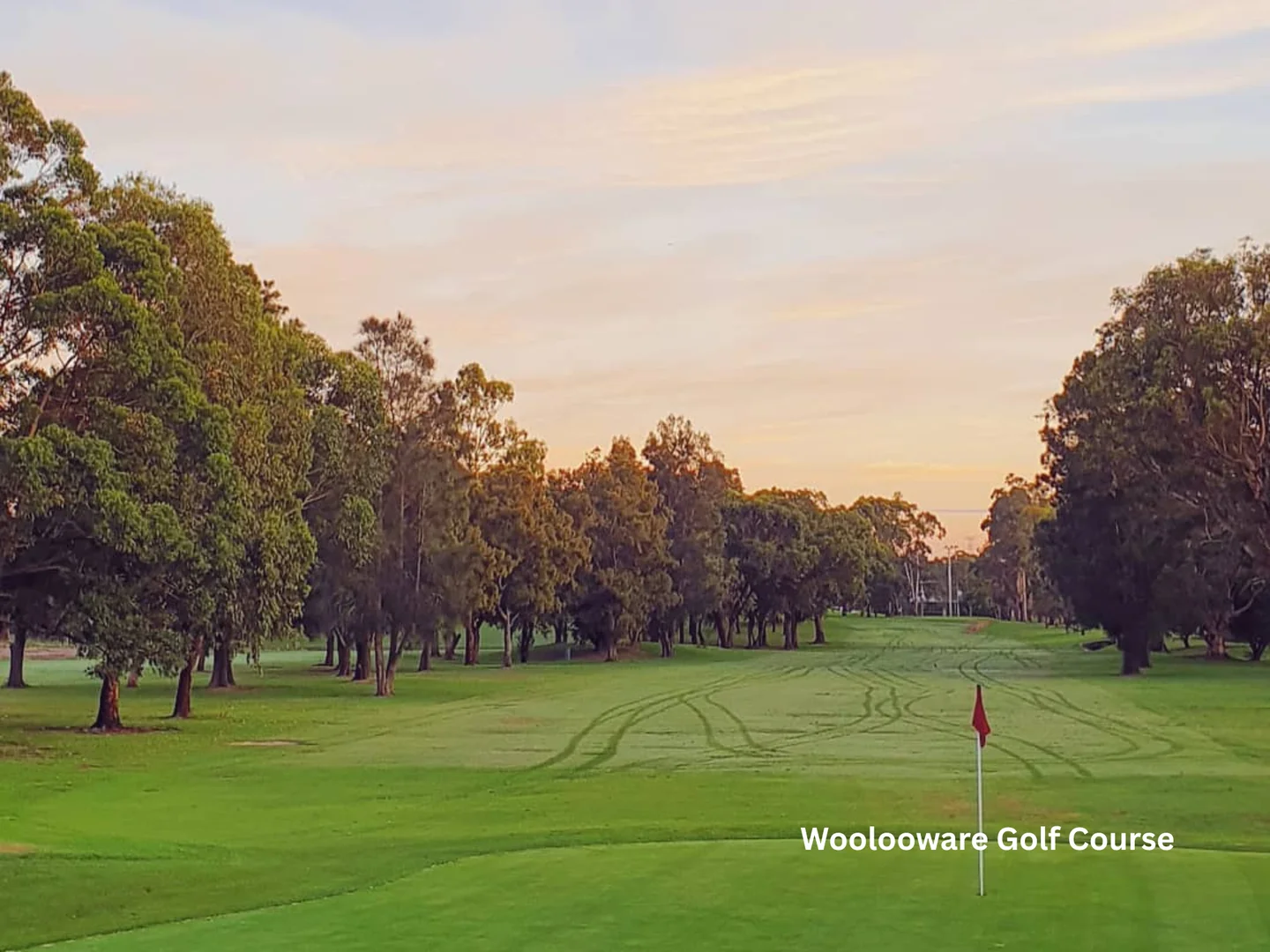 Additional image 18 of 41-51 President Avenue, Caringbah NSW 2229