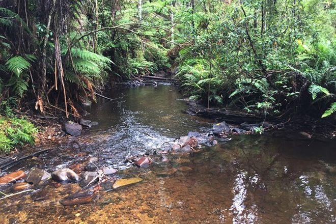 Picture of 51 Fishermans Drive, REEFTON VIC 3799